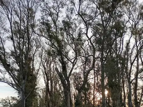 Terreno en Venta 35  mts Frente