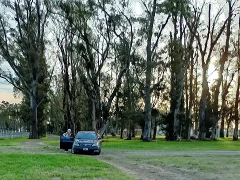 Terreno en Venta 50  mts Fondo