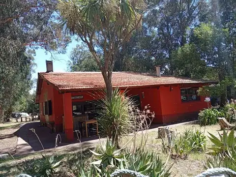 calle 99 y calle 14 100