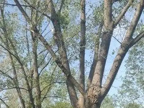 Terreno en Venta en La Plata, USD 85.000