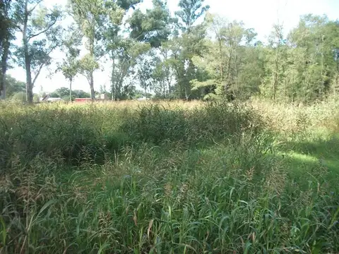 Ruta Provincial 5 35