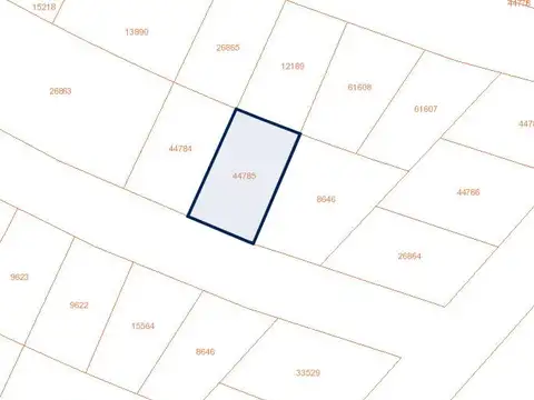 Washington y Doctor Eduardo Acevedo