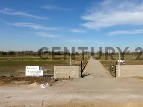 Vendo dos lotes de 12x24 cada uno, Finca Los Cerezos 161 y 76