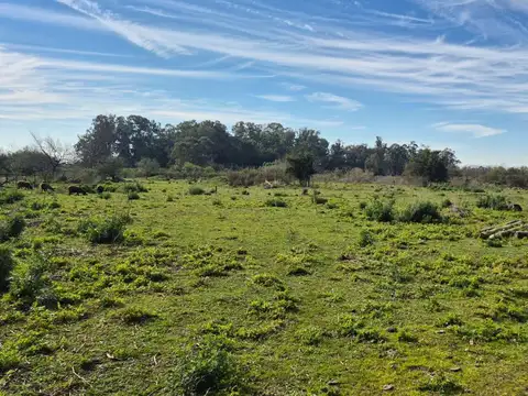 CAMPO EN VENTA LA PLATA