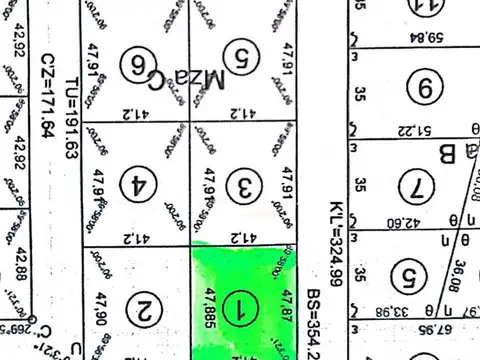 Bellta Italia Productiva