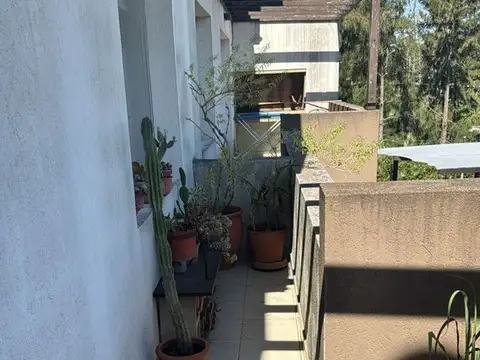 Departamento en Alquiler 14 años