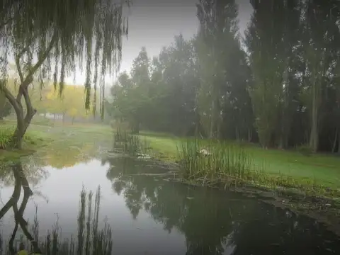 Terreno en Venta de 11580,0 m2