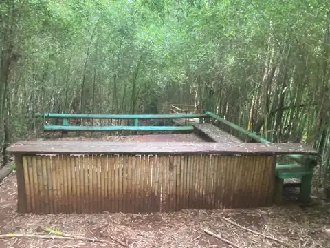 VENDO IMPRESIONANTE GRANJA CON PACU EN POSADAS MNES