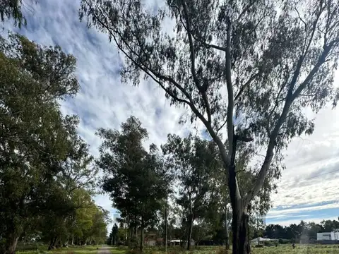 Terreno en Venta de 6055,0 m2