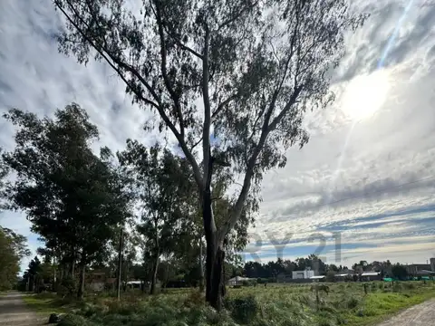 Terreno en Venta 86,80  mts Fondo