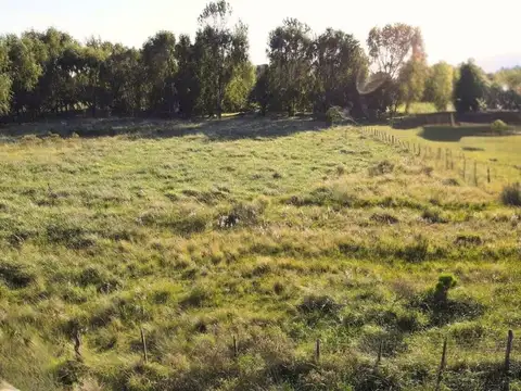 Terreno en Venta en Guernica, USD 37.000