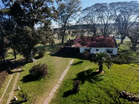 EL BAGUAL