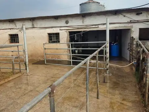 Fondo de Comercio en venta - Campo con Hacienda - Navarro