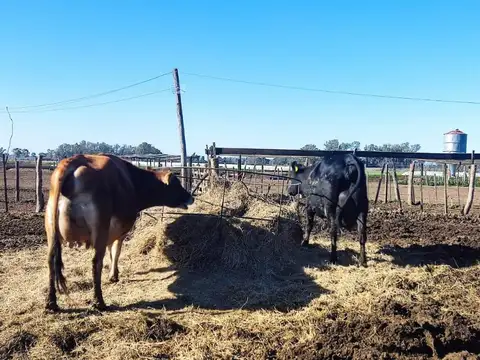 Fondo Comercio en Venta 10 años