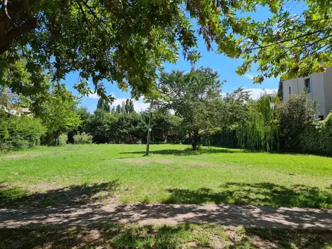 Barrio Rincón de Chacras, calle Besares s/n