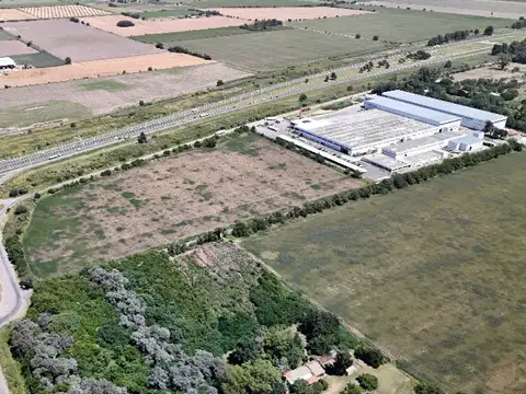 Terreno en Venta de 10000,0 m2