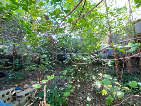 Terreno en venta en Parque y hospitale