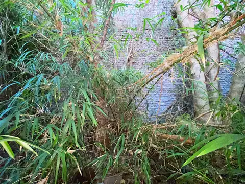 Terreno en Venta 25  mts Fondo