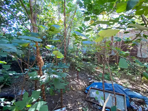 Terreno en Venta de 268,0 m2
