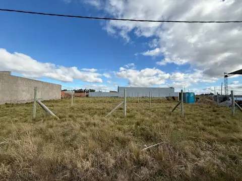 Molina Campos y Araucanos