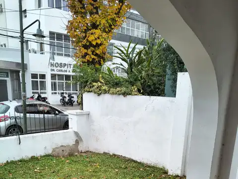 Diego Palma 500