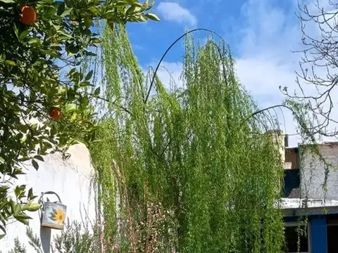 CASA EN VENTA 5 CUADRAS DE LA QUINTA (Godoy Cruz)