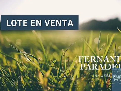 Terreno / Lote en venta de 362m2 ubicado en Villa Gobernador Udaondo