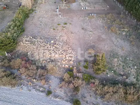 Dina Huapi Costa del lago