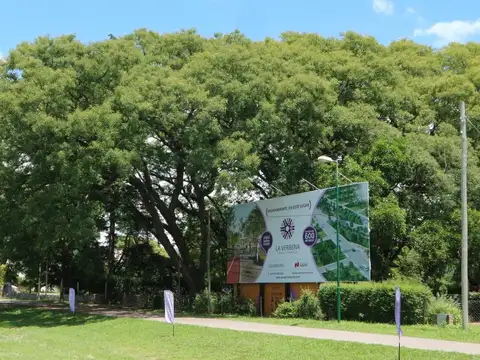 La Verbena