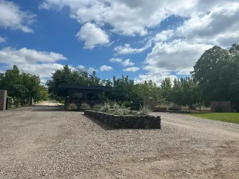 Terreno en Venta en San Jose, Tupungato