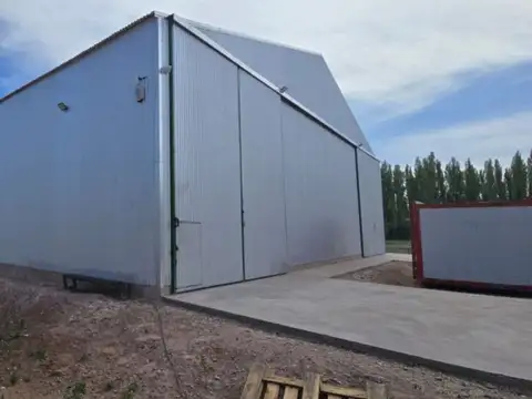 Galpon en Alquiler 12,50  mts Frente