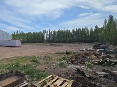 Galpon en Alquiler en Centenario, $ 3.800.000