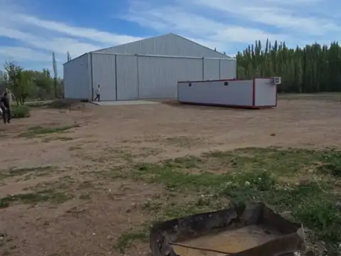 Galpon en Alquiler 1 año