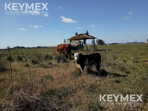 Terreno en Venta en Virrey del Pino, Partido de La Matanza