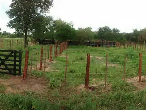 Campo - Pampa Del Indio