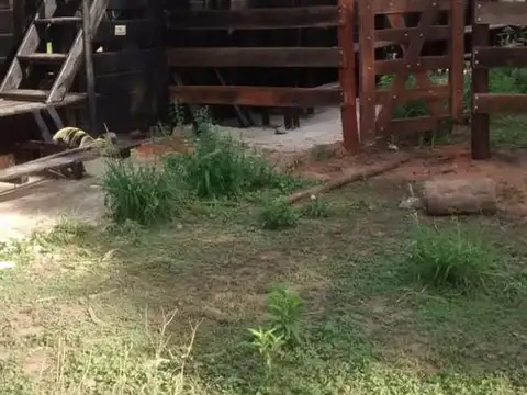 Campo - Pampa Del Indio