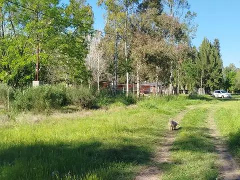 Terreno en Venta en Lisandro Olmos Etcheverry, USD 10.000