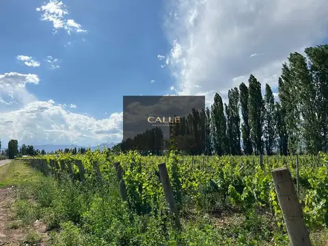 Venta de Finca en Perdriel