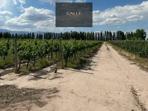 Venta de Finca en Perdriel