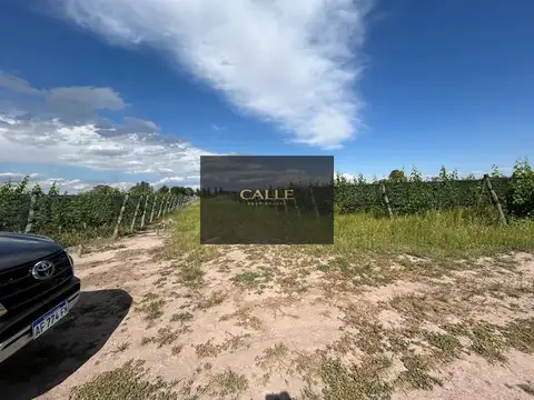calle cobos, 100