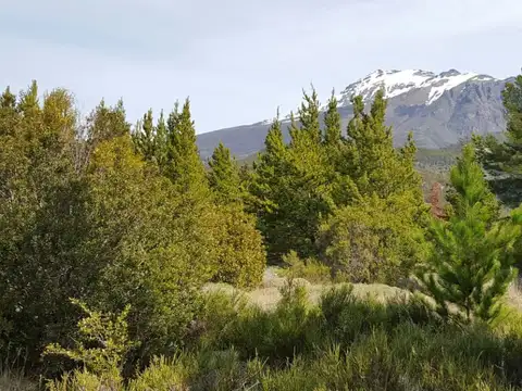 Terreno - Venta - Argentina, Los Cipreses