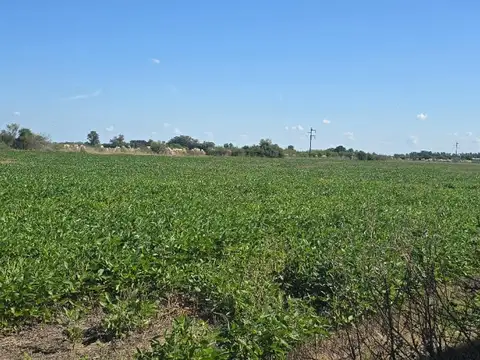 Paraje "los Eucaliptus"