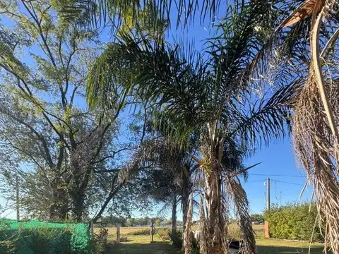 Quinta en Venta en San Sebastián, Partido de Chivilcoy