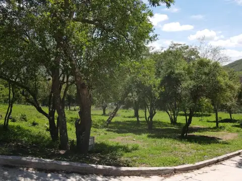 La Lucinda Norte