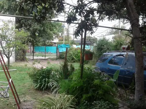 Pacheco 500