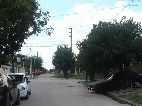 Pacheco 500