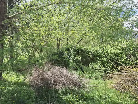 Calle San Martin-  El Bolson