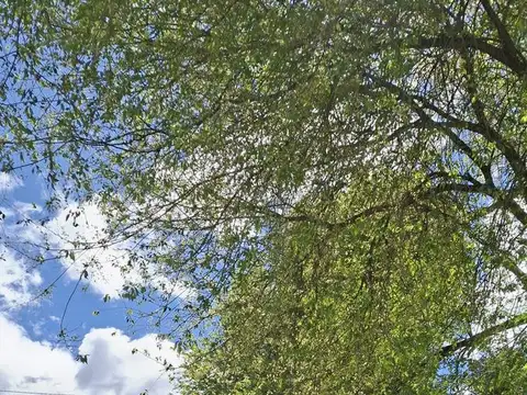 Terreno en Venta de 3,0 m2