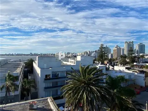 Península, zona puerto