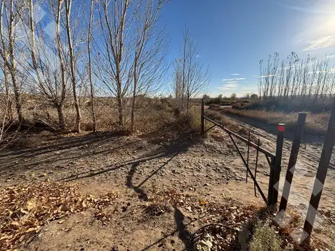 VENTA 2 HECTÁREAS. - ISLA GRANDE, AÑELO